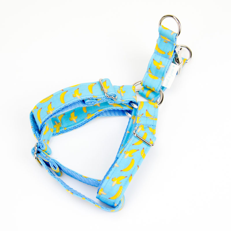 Bananas Dog Harness Four Paws Bureau