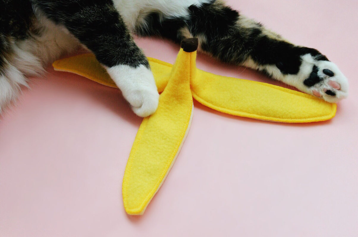 Catnip Banana Four Paws Bureau